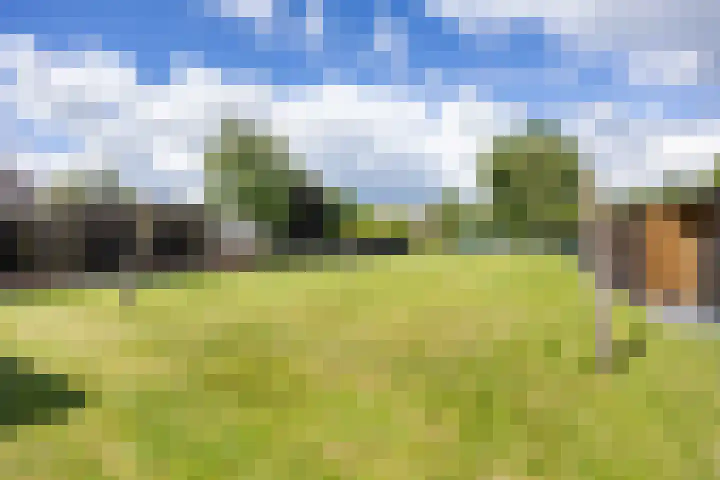 Molenweg 4 Haulerwijk thumbnail 43