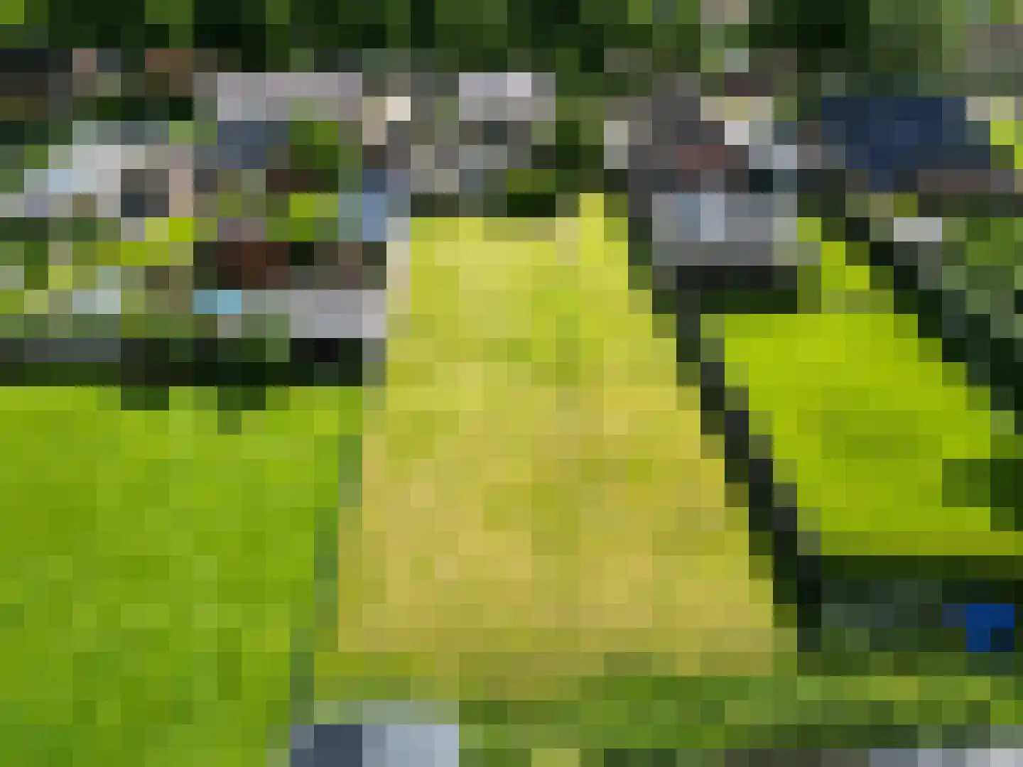 Molenweg 4 Haulerwijk thumbnail 46
