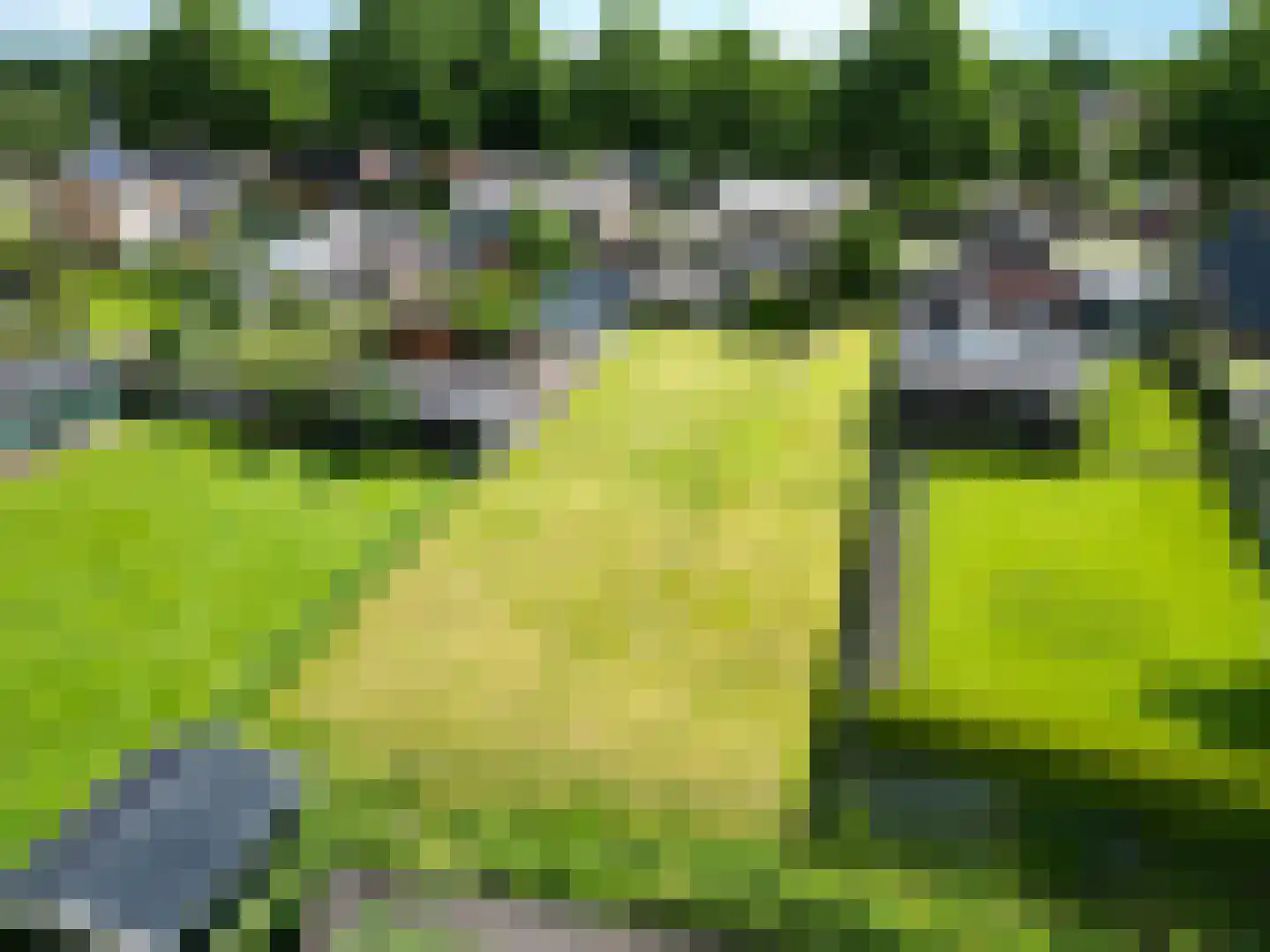 Molenweg 4 Haulerwijk thumbnail 6