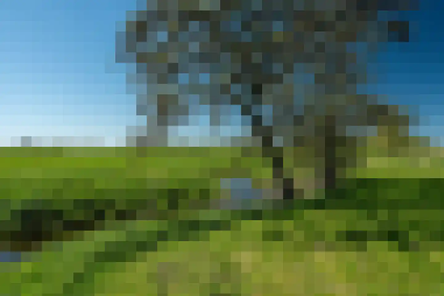 Molenweg 4 Hitzum thumbnail 10