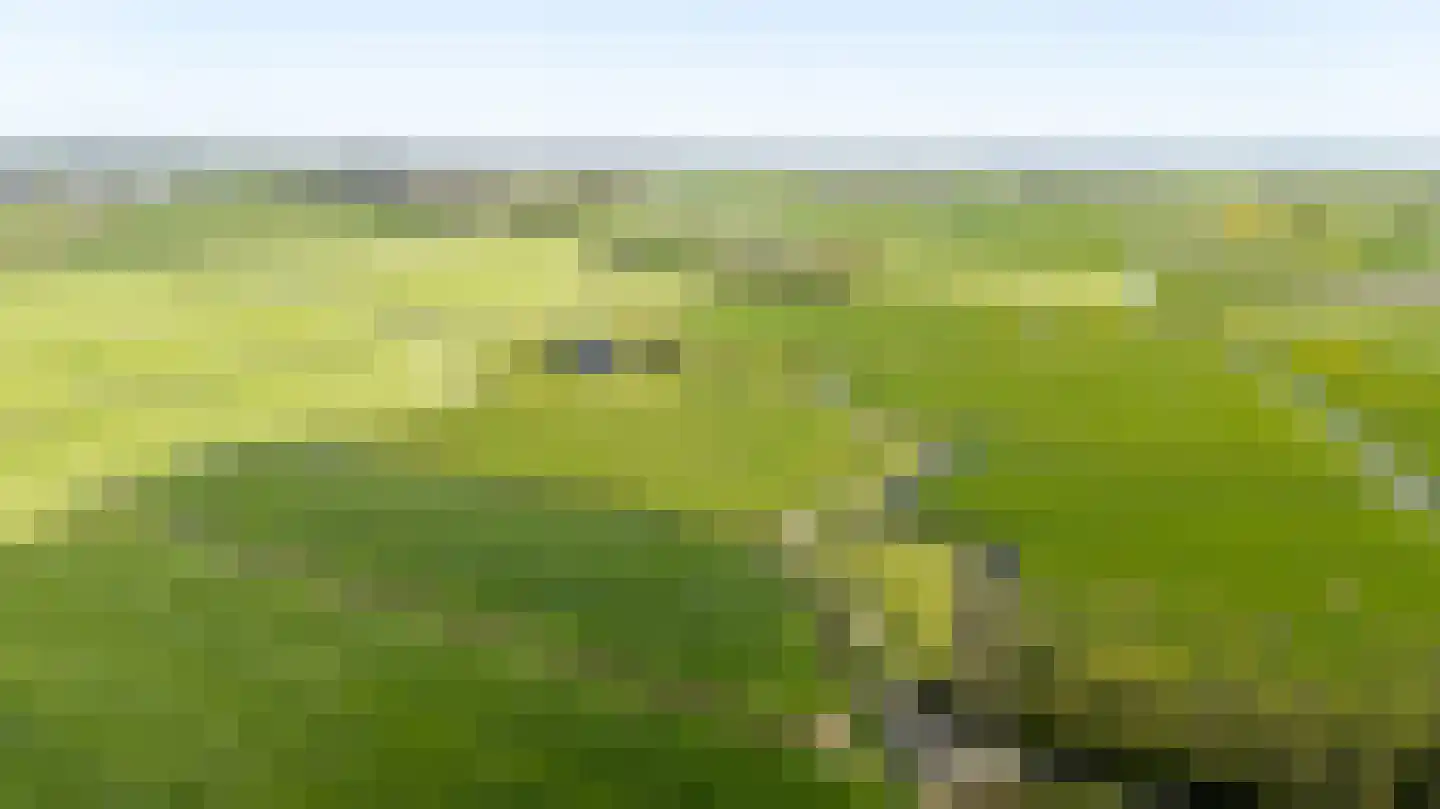 Molenweg 4 Hitzum thumbnail 20