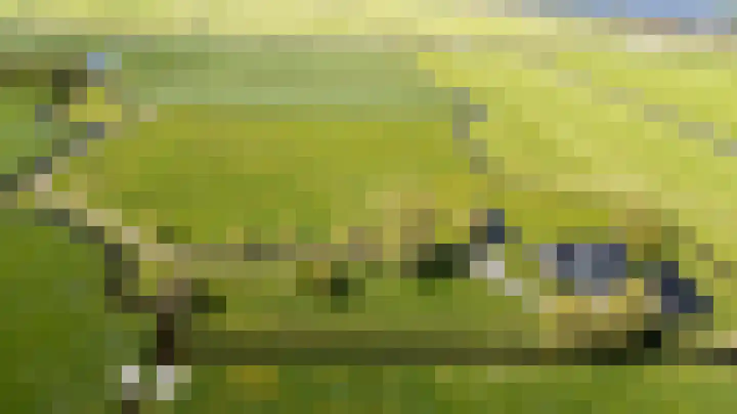 Molenweg 4 Hitzum thumbnail 21