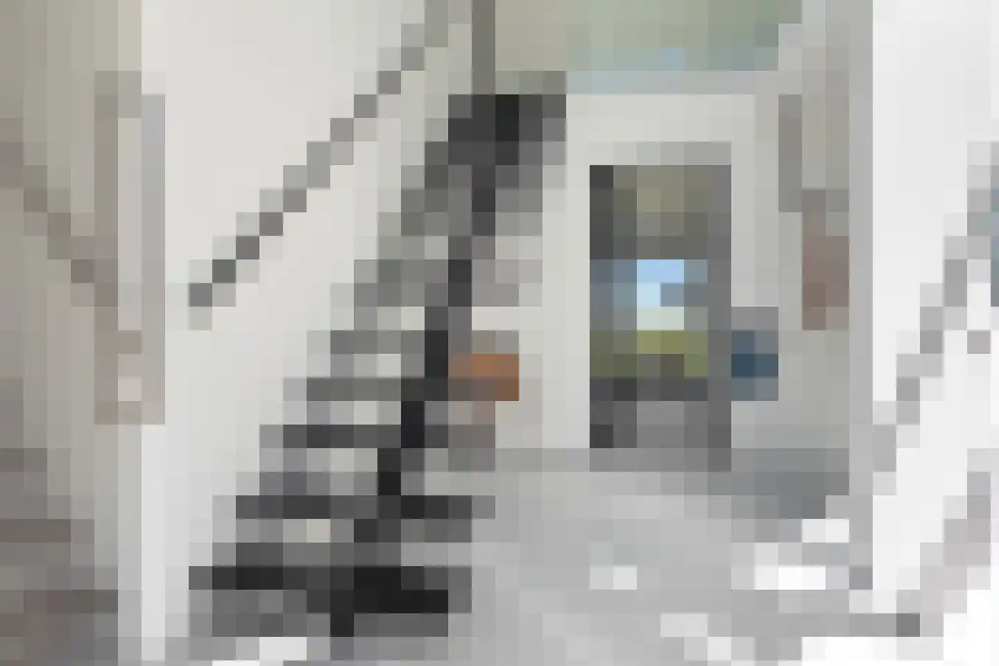 Molenweg 4 Hitzum thumbnail 22