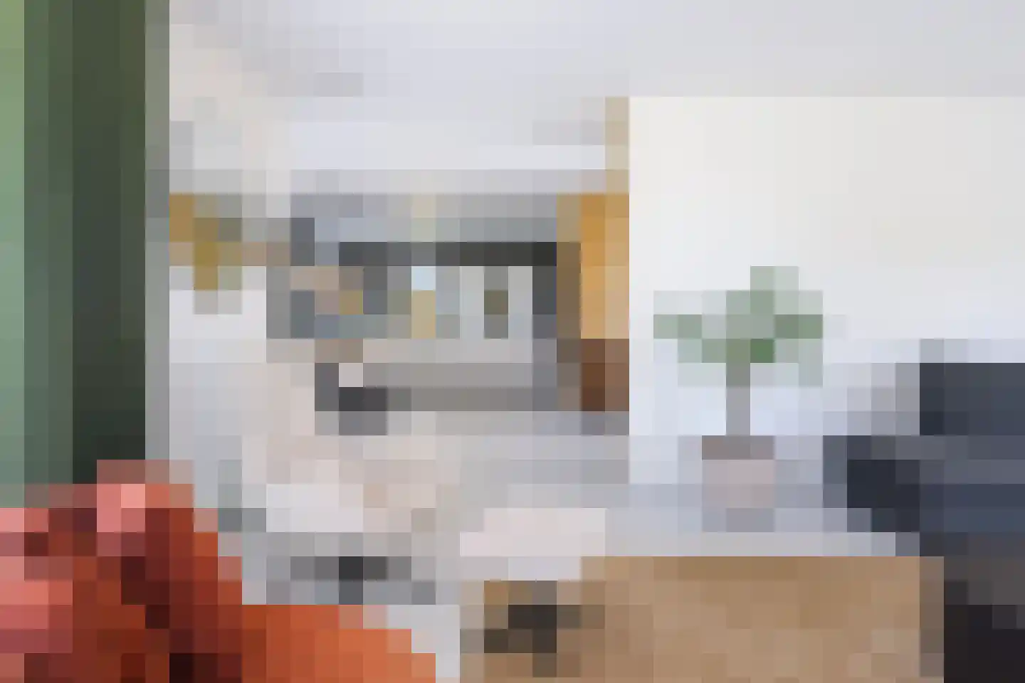 Molenweg 4 Hitzum thumbnail 28