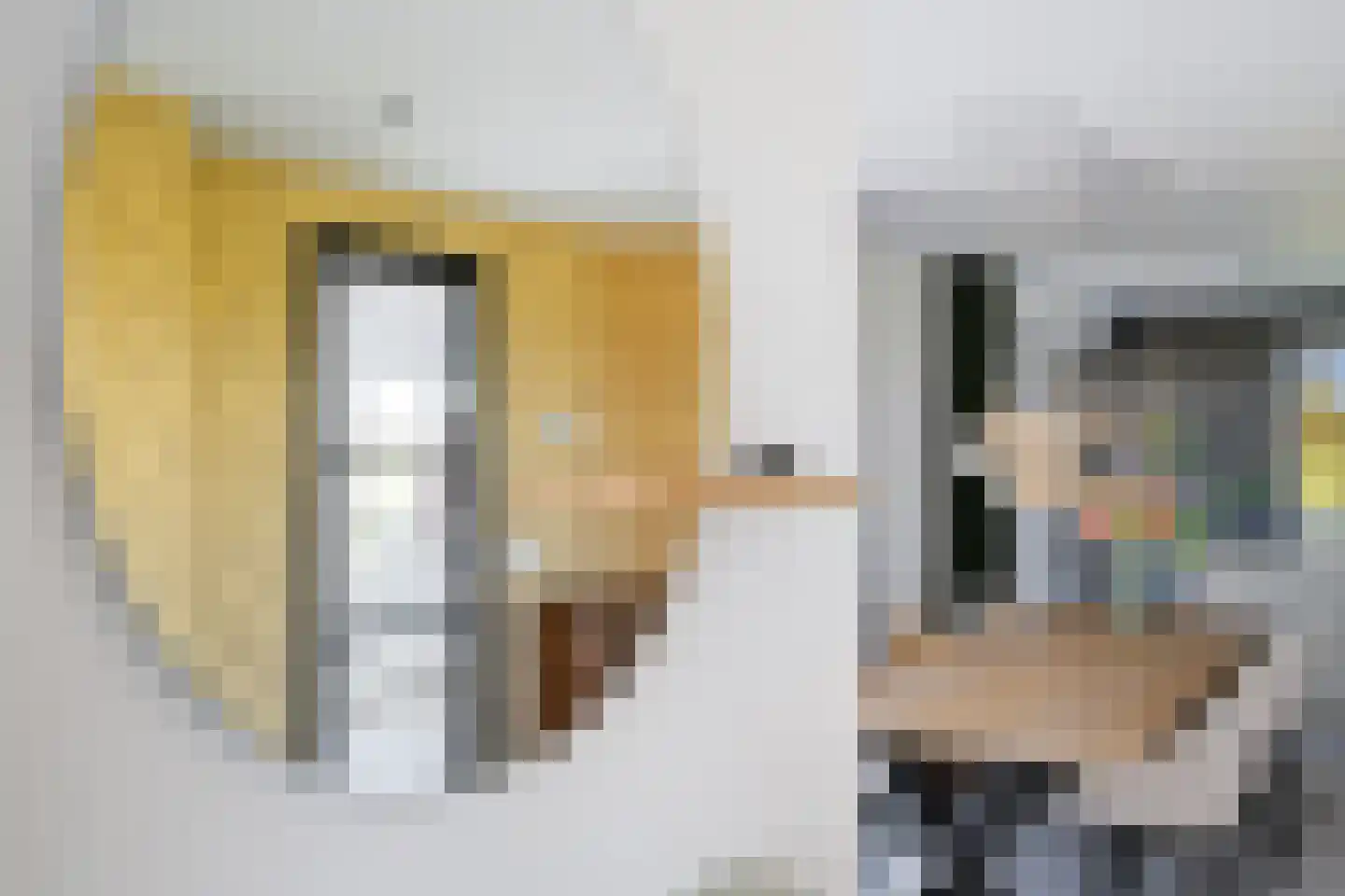 Molenweg 4 Hitzum thumbnail 33