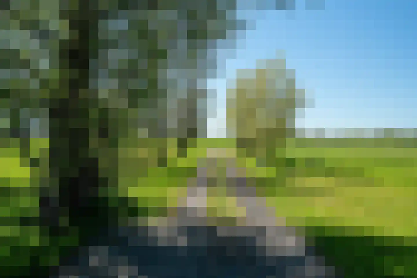Molenweg 4 Hitzum thumbnail 45
