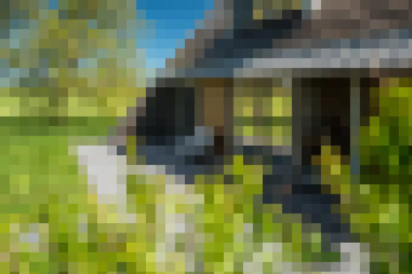 Molenweg 4 Hitzum thumbnail 55