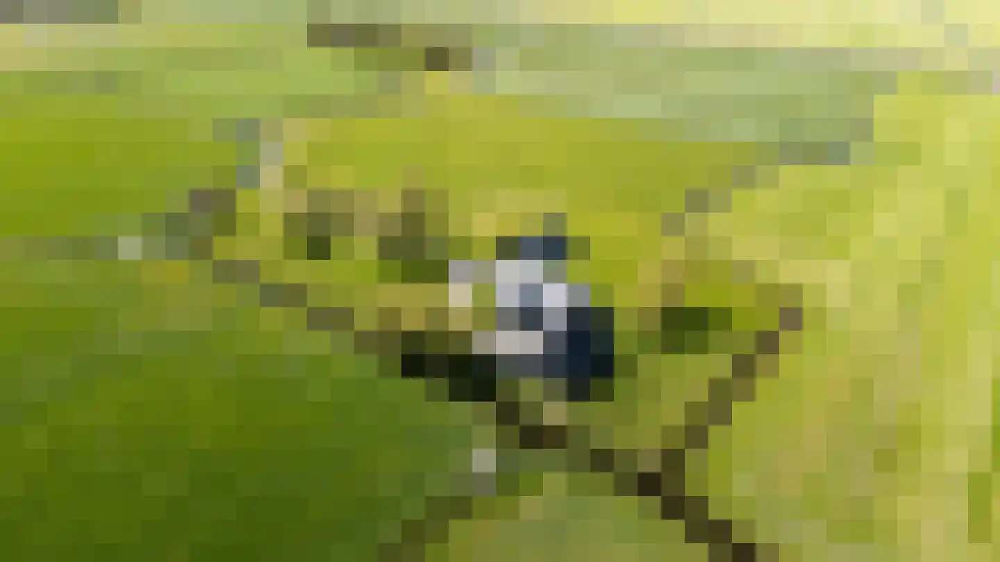 Molenweg 4 Hitzum thumbnail 57