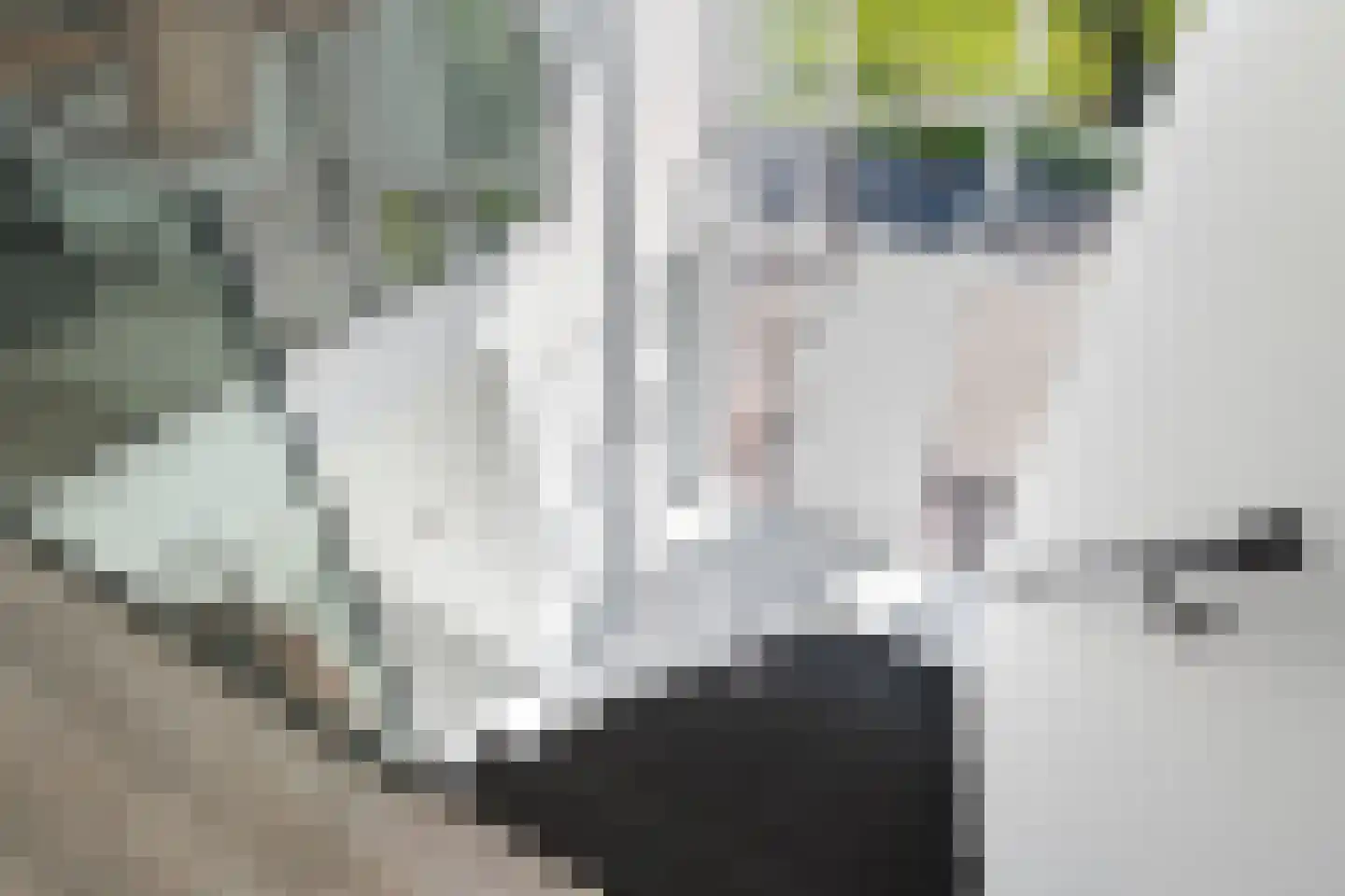 Molenweg 4 Hitzum thumbnail 58