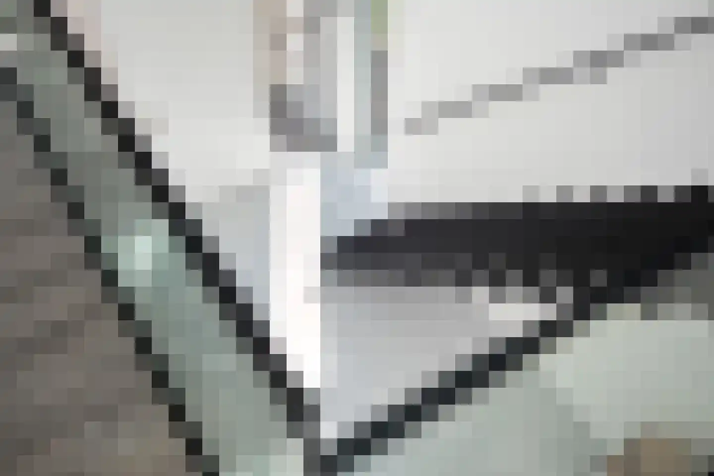 Molenweg 4 Hitzum thumbnail 60