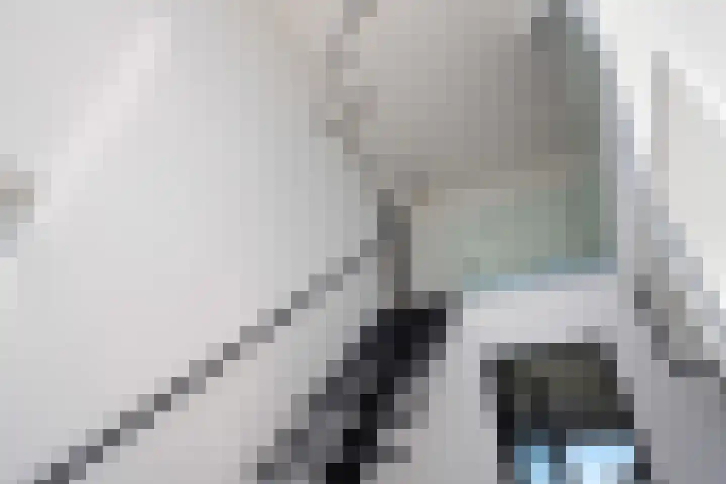 Molenweg 4 Hitzum thumbnail 61