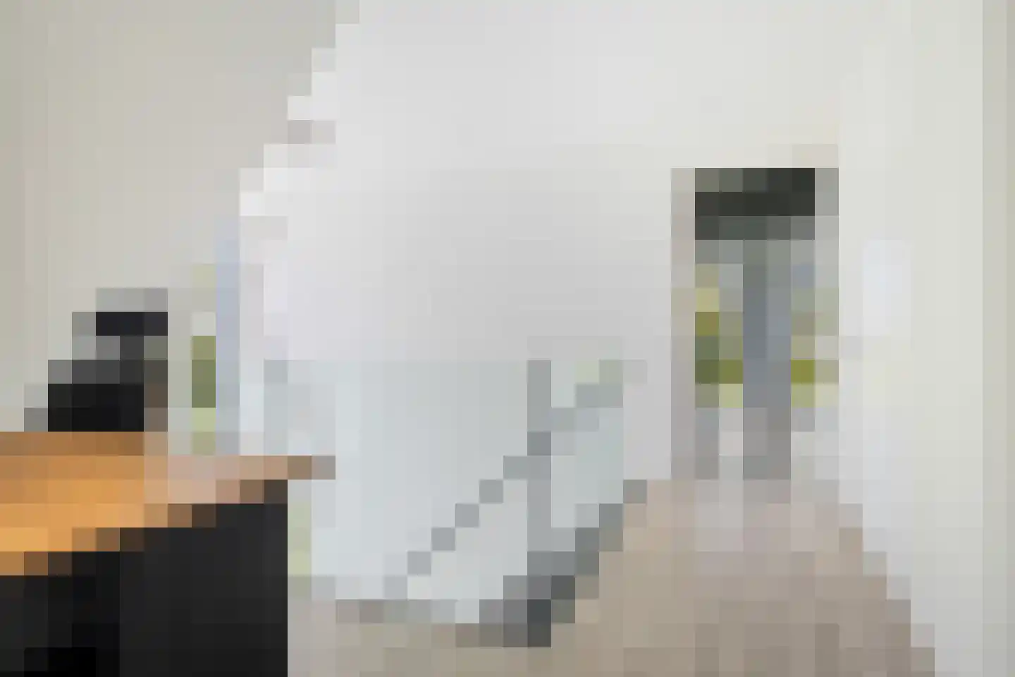 Molenweg 4 Hitzum thumbnail 62
