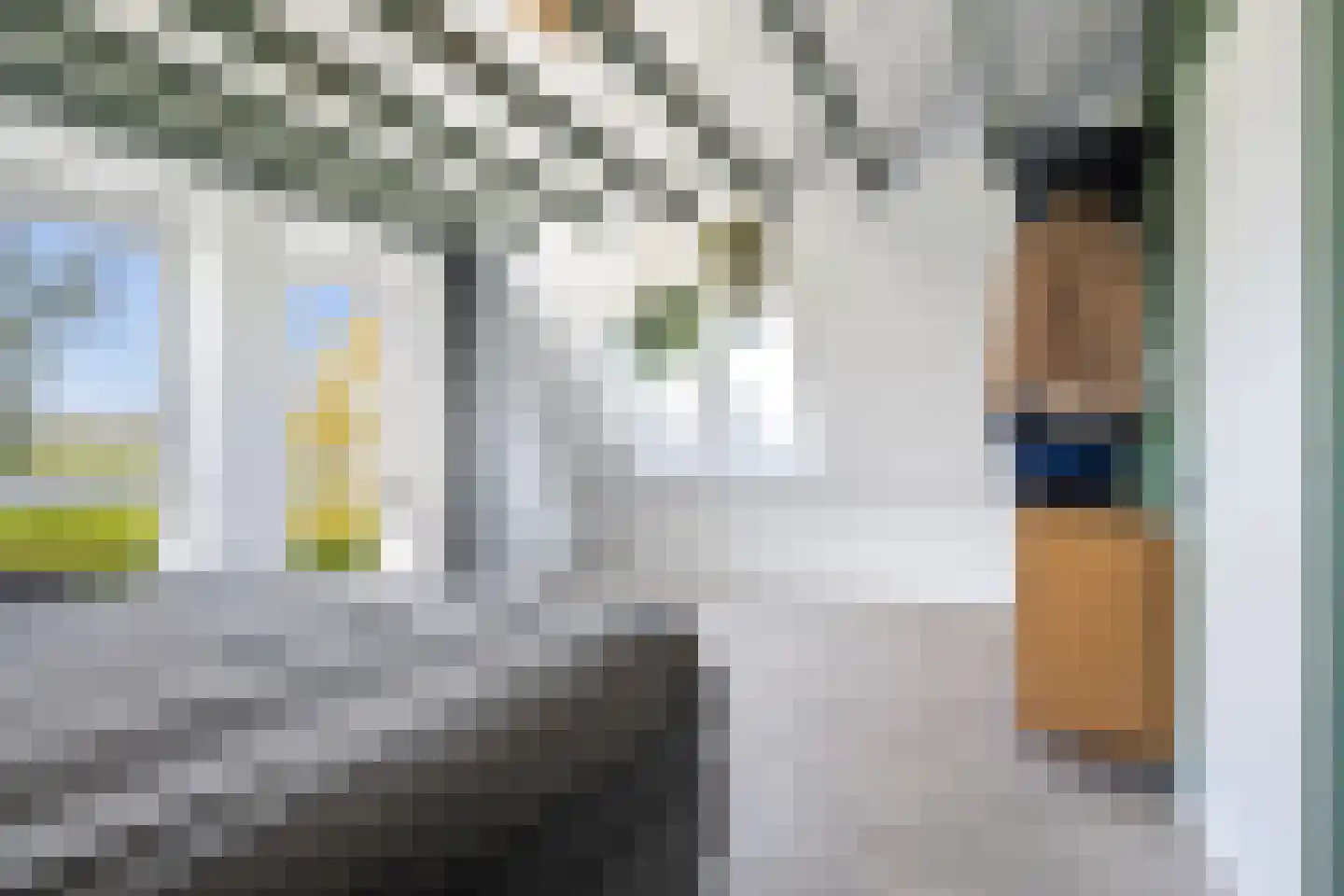 Molenweg 4 Hitzum thumbnail 64