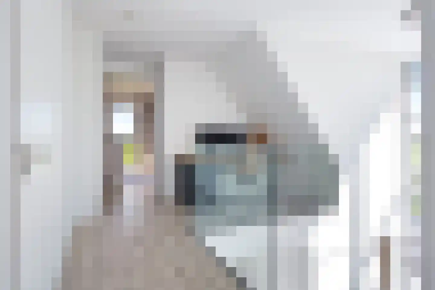Molenweg 4 Hitzum thumbnail 66