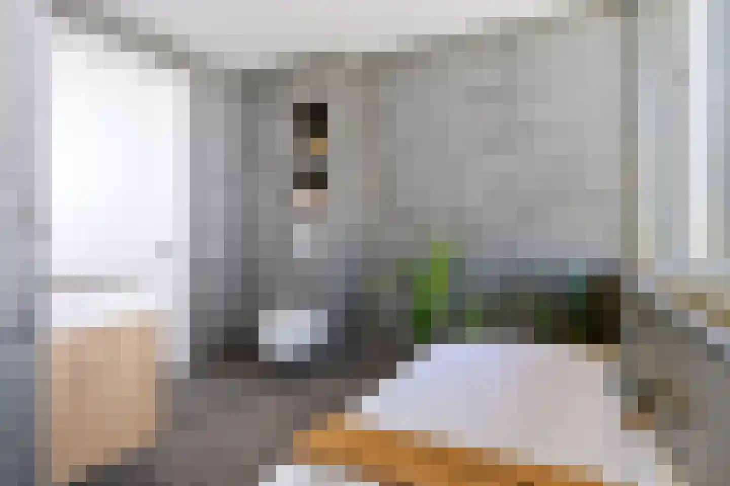 Molenweg 4 Hitzum thumbnail 74