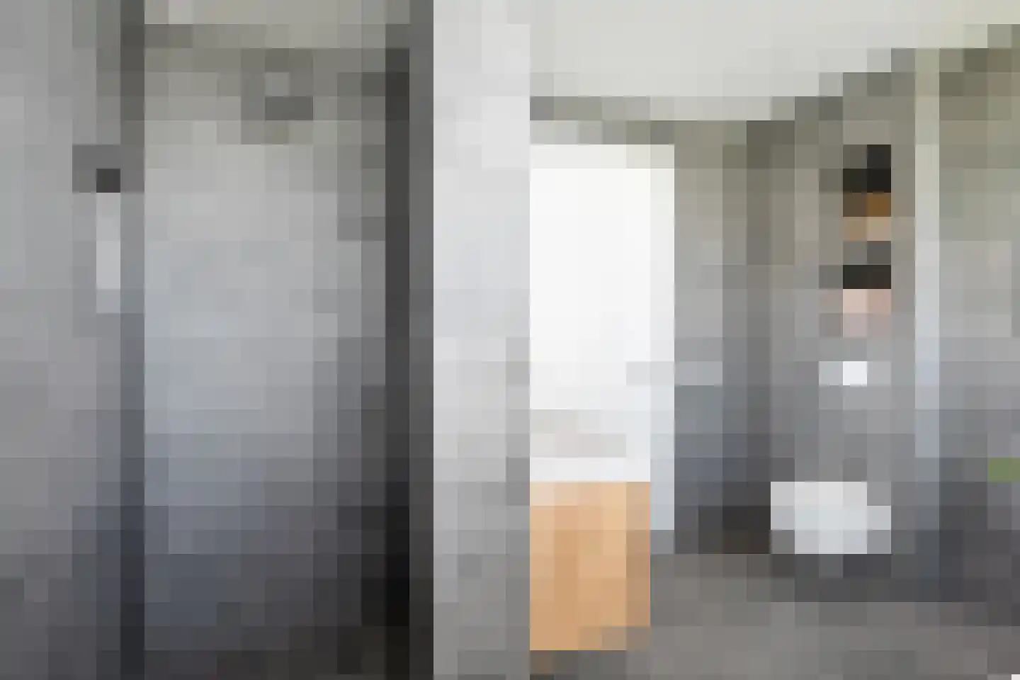 Molenweg 4 Hitzum thumbnail 75