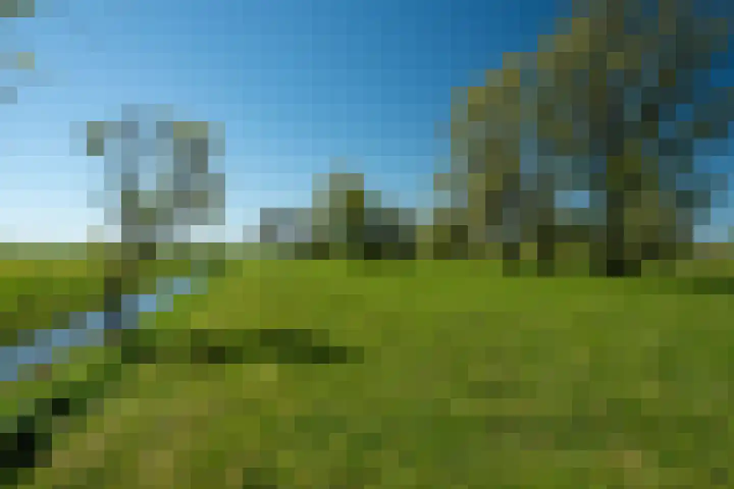 Molenweg 4 Hitzum thumbnail 8
