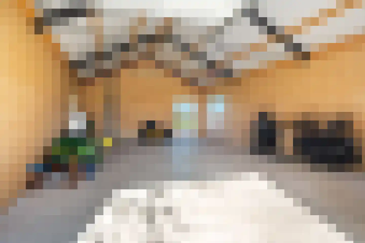 Molenweg 4 Hitzum thumbnail 86