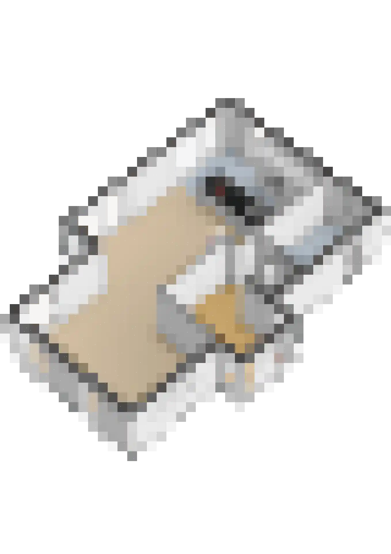 Molenweg 4 Hitzum thumbnail 96