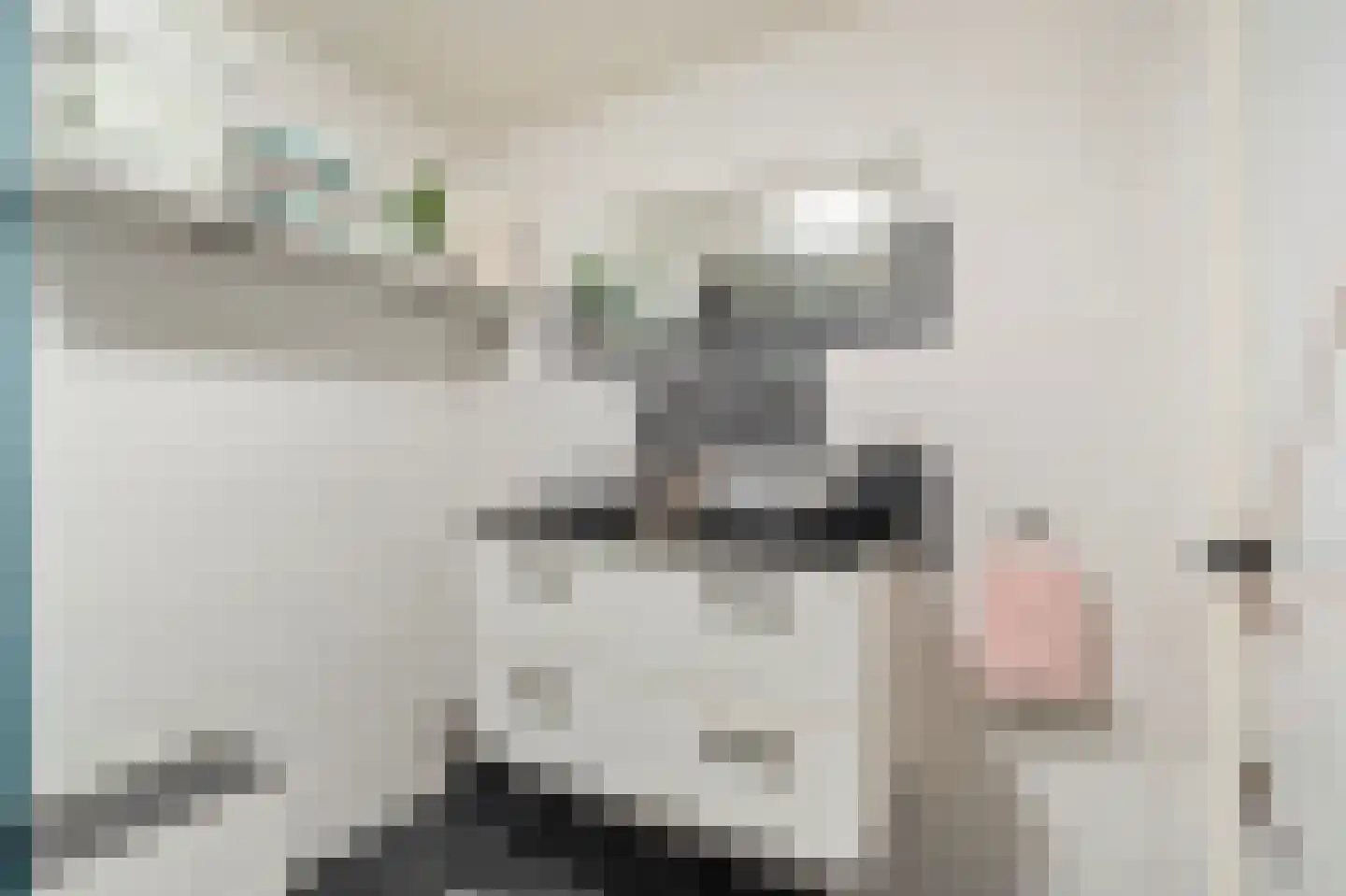 Molenweg 4 Wieringerwaard thumbnail 20