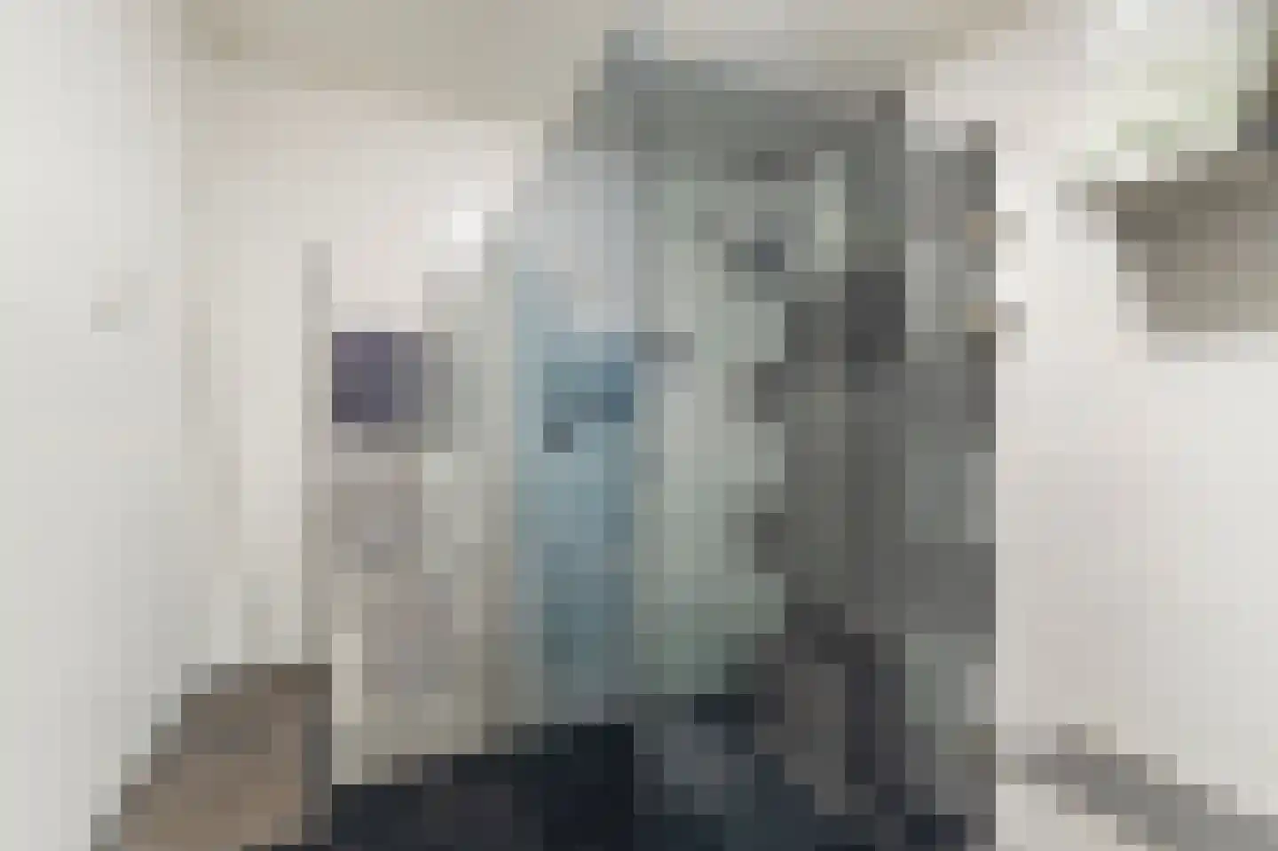 Molenweg 4 Wieringerwaard thumbnail 21