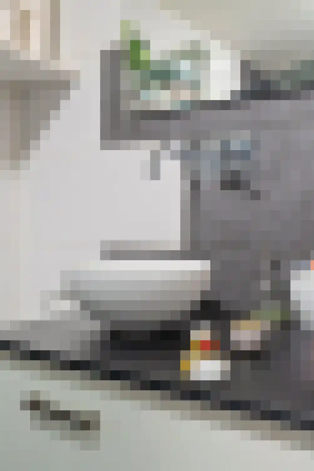 Molenweg 4 Wieringerwaard thumbnail 23