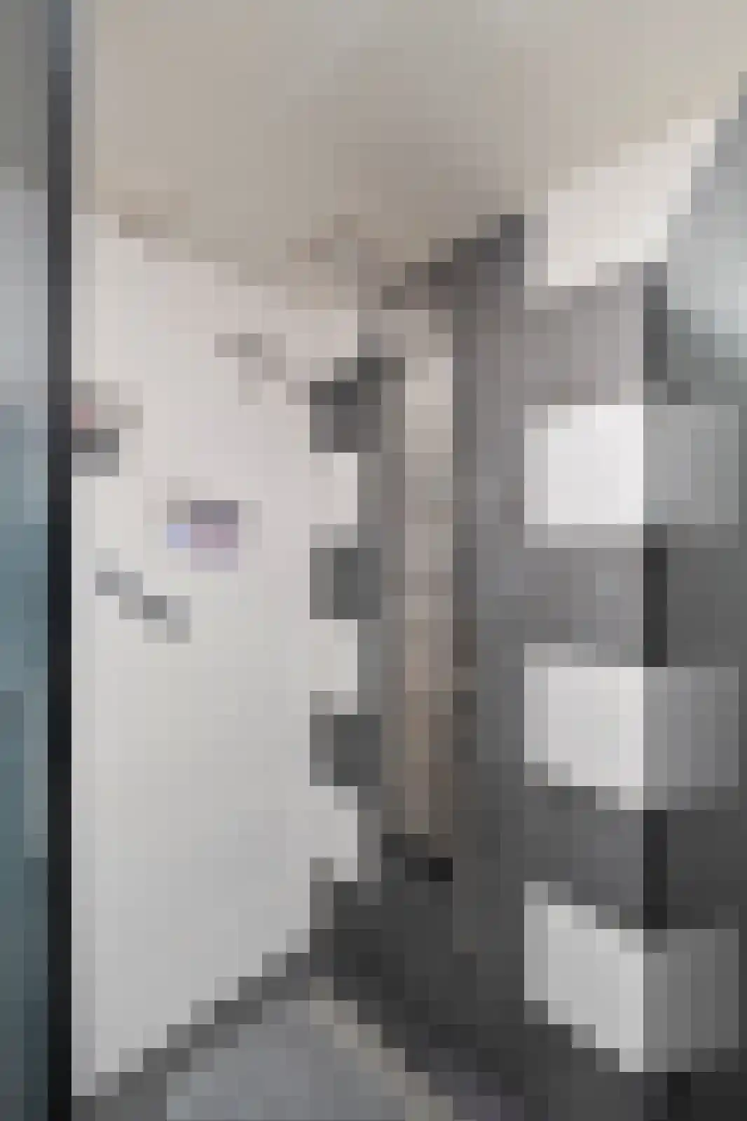 Molenweg 4 Wieringerwaard thumbnail 24