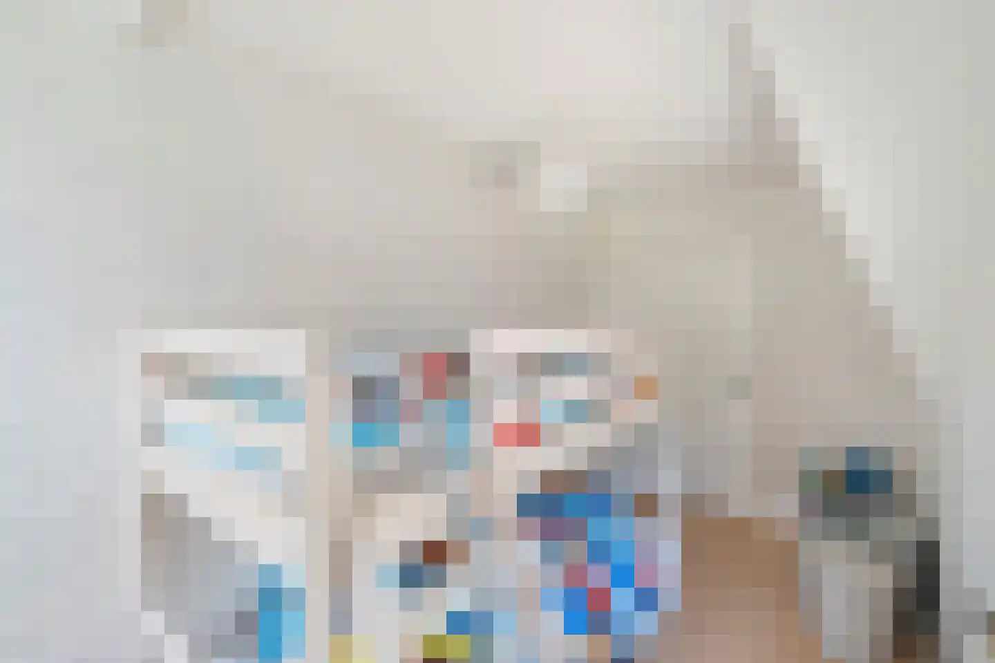 Molenweg 4 Wieringerwaard thumbnail 34