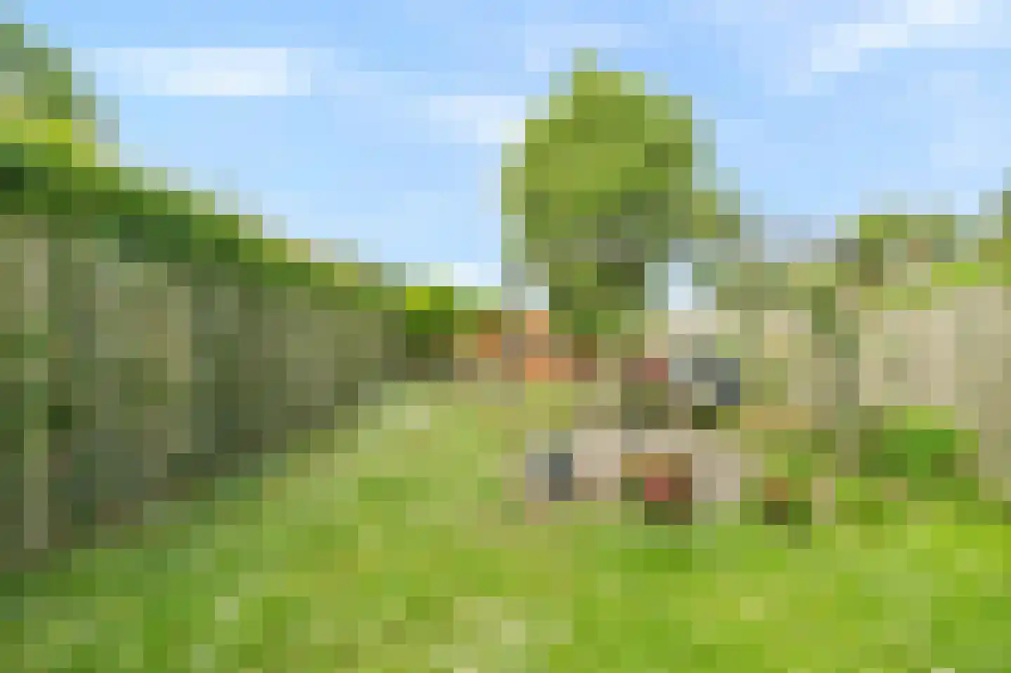 Molenweg 4 Wieringerwaard thumbnail 39