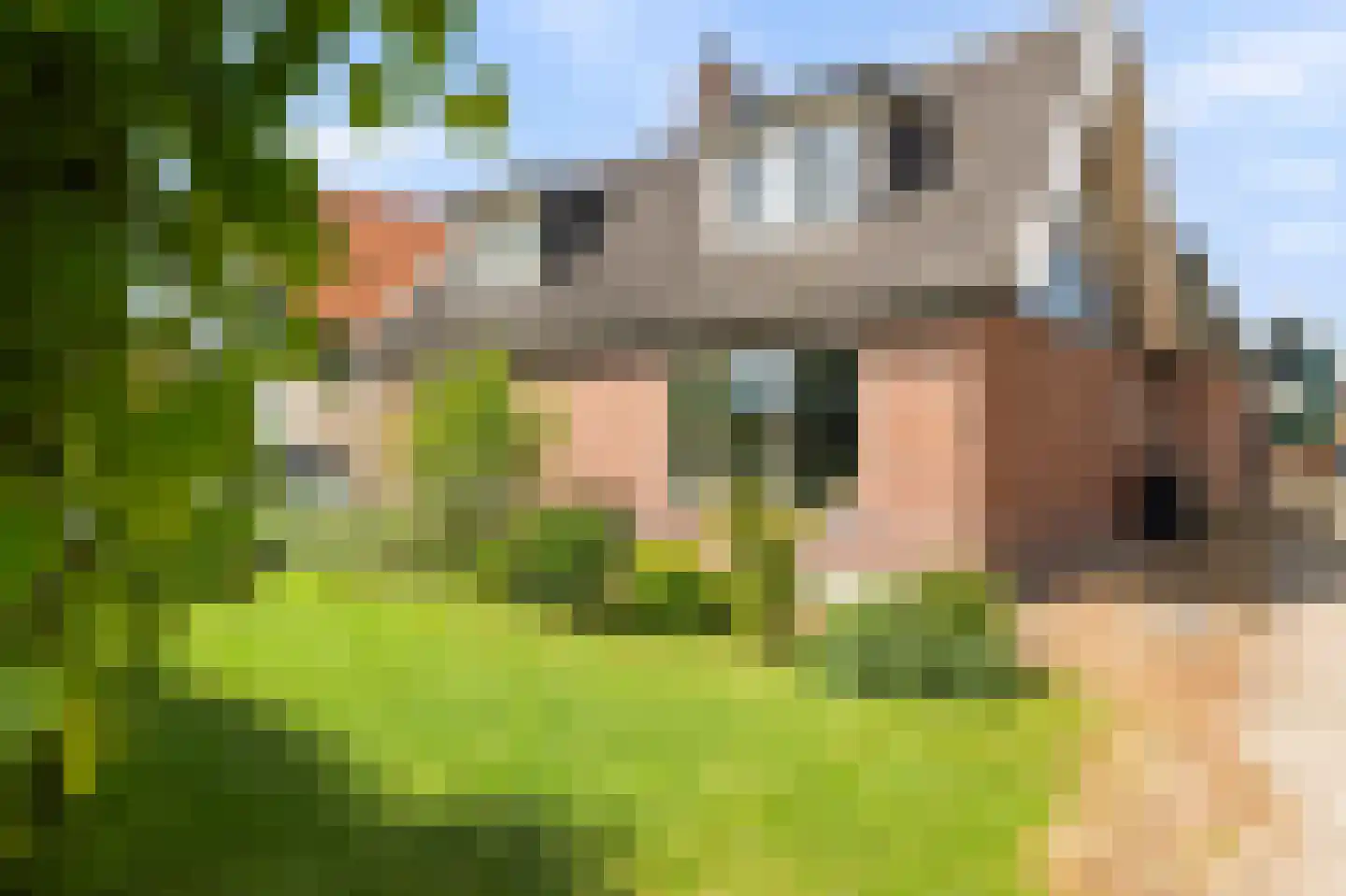 Molenweg 4 Wieringerwaard thumbnail 4