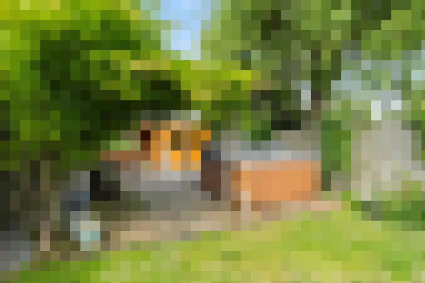 Molenweg 4 Wieringerwaard thumbnail 42