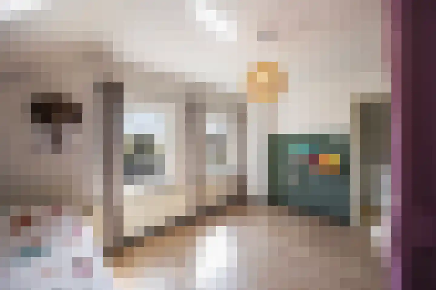 Molenweg 40 Koningsbosch thumbnail 47