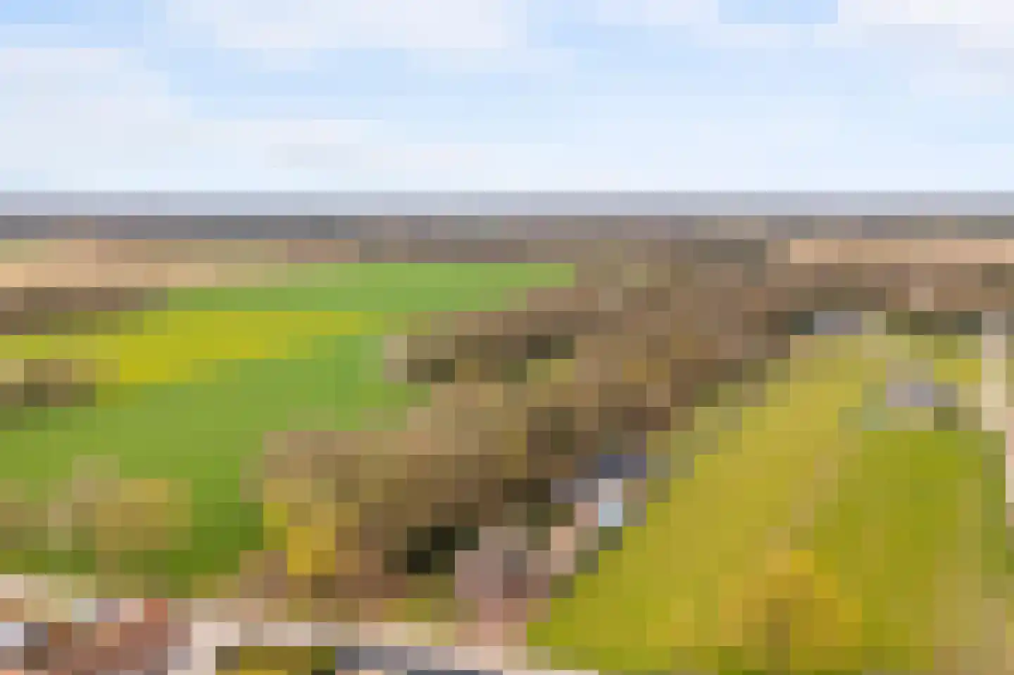 Molenweg 40 Koningsbosch thumbnail 74