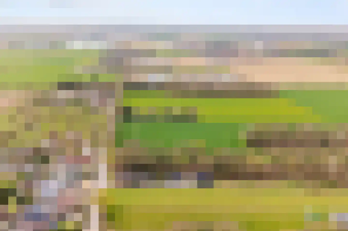 Molenweg 40 Koningsbosch thumbnail 75