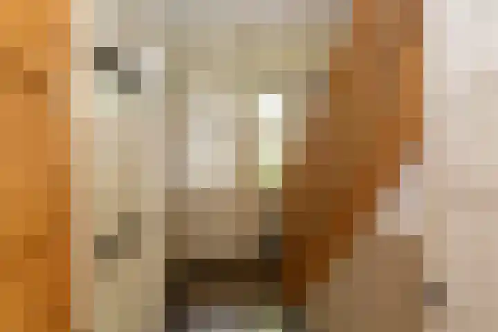 Molenweg 40 Ouddorp thumbnail 23