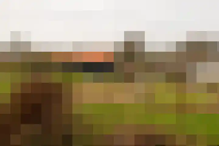 Molenweg 40 Ouddorp thumbnail 28