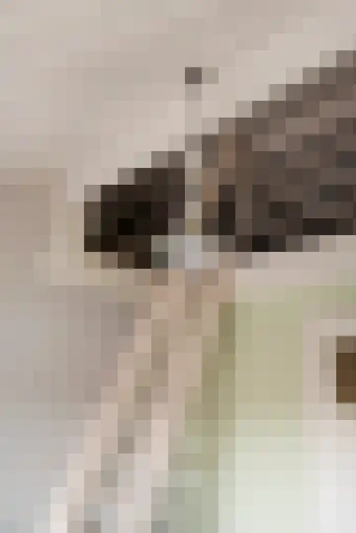 Molenweg 40 Ouddorp thumbnail 32