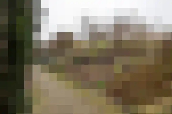 Molenweg 40 Ouddorp thumbnail 37