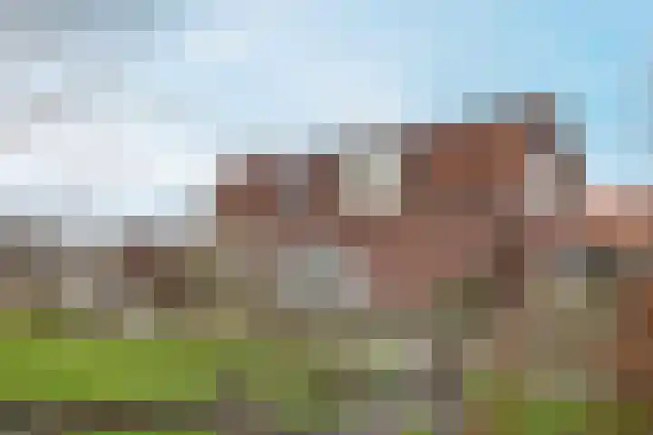 Molenweg 40 Ouddorp thumbnail 40
