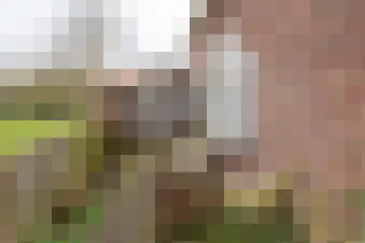 Molenweg 40 Ouddorp thumbnail 41