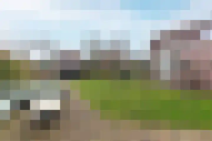 Molenweg 40 Ouddorp thumbnail 43