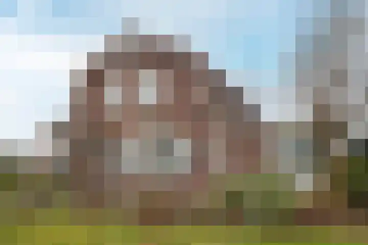 Molenweg 40 Ouddorp thumbnail 45