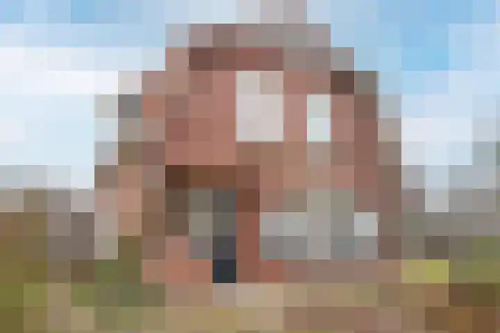 Molenweg 40 Ouddorp thumbnail 47