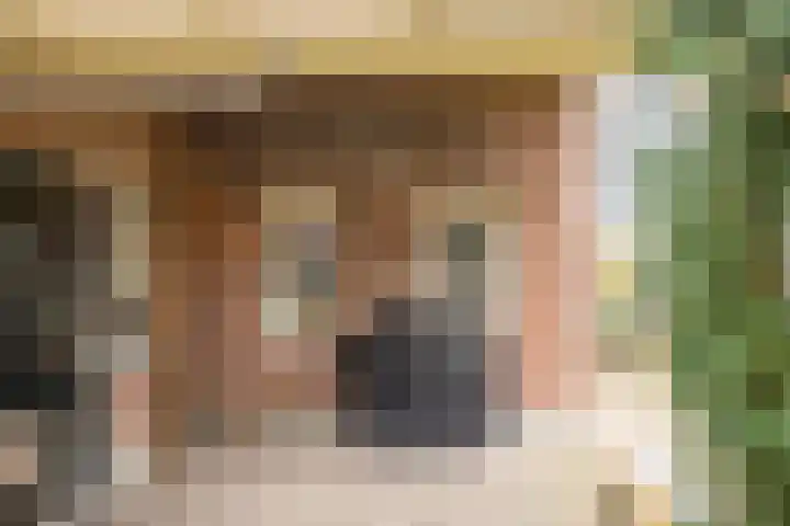 Molenweg 40 Ouddorp thumbnail 5