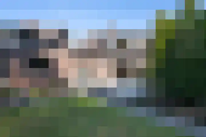Molenweg 41 Klarenbeek thumbnail 33