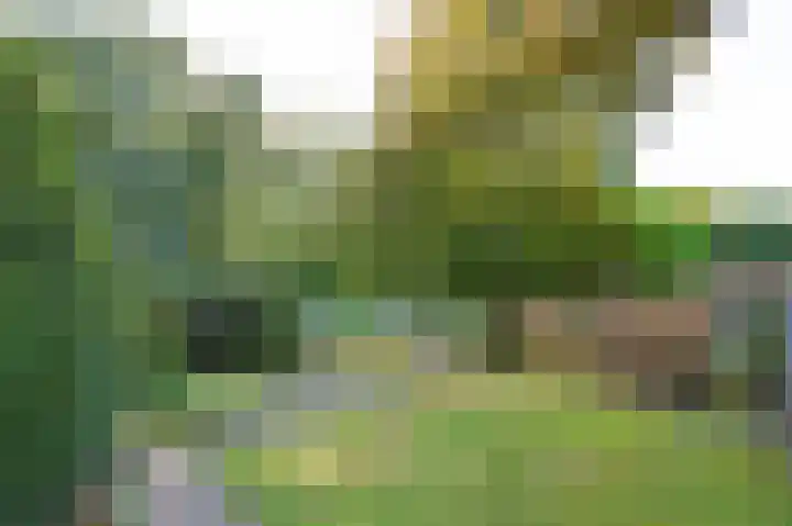 Molenweg 41 Klarenbeek thumbnail 34