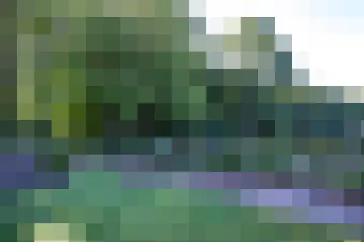 Molenweg 41 Klarenbeek thumbnail 36