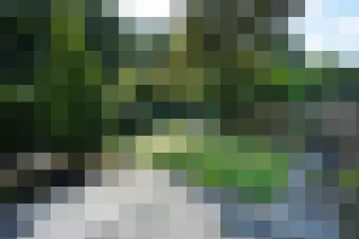 Molenweg 41 Klarenbeek thumbnail 37