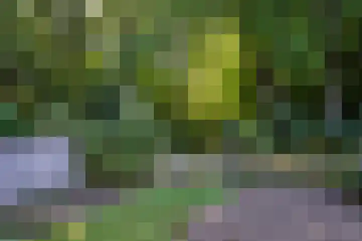 Molenweg 41 Klarenbeek thumbnail 38