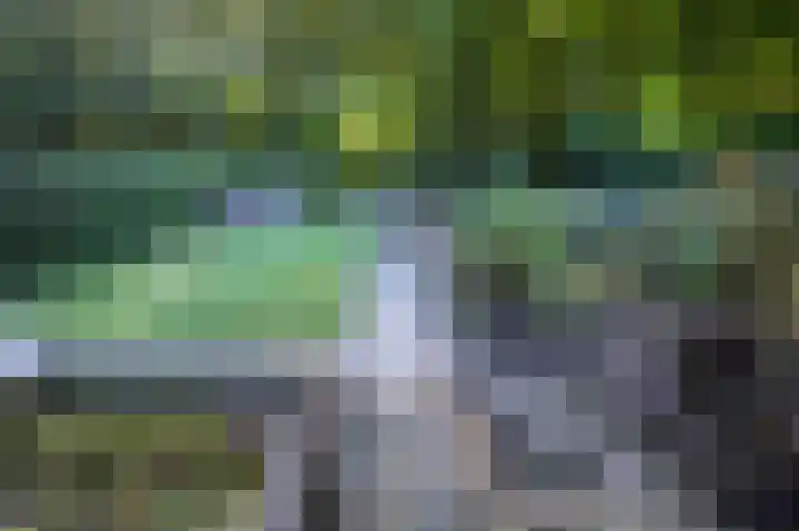 Molenweg 41 Klarenbeek thumbnail 4